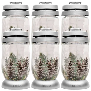 Znicze Bolsius 3S 07 szyszki wkłady 36h 1,5 dnia 6 sztuk - Lampiony i znicze - miniaturka - grafika 1