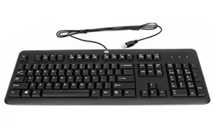 HP 672647-093 klawiatura USB Norweski Czarny 672647-093 - Klawiatury - miniaturka - grafika 1
