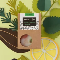 Mydła - Caltha - Stałe mydło z melisy, spiruliny i chlorelli, 100 g - miniaturka - grafika 1