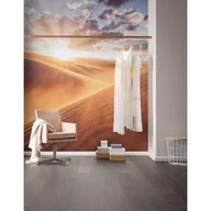 Fototapety - Fototapeta krajobraz pustynny beżowym - 400 x 250 cm - SANDERS & SANDERS - miniaturka - grafika 1