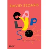 Powieści - Calypso | ZAKŁADKA DO KSIĄŻEK GRATIS DO KAŻDEGO ZAMÓWIENIA - miniaturka - grafika 1