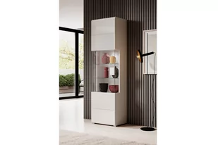 Witryna stojąca jednodrzwiowa Toledo 05 - biały połysk - Witryny Witryna stojąca jednodrzwiowa Toledo 05 - biały połysk - Witryny - miniaturka - grafika 4