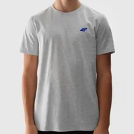Koszulki męskie - Koszulka Męska 4F Jasny Szary Sportowy T-shirt Regular 4FWSS24TTSHM1887 S Szary - miniaturka - grafika 1