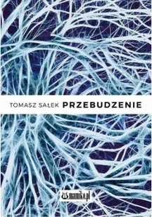 Przebudzenie Tomasz Sałek - Poezja - miniaturka - grafika 2