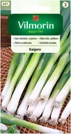 Nasiona i cebule - Cebula siedmiolatka Kaigaro nasiona 2g Vilmorin - miniaturka - grafika 1