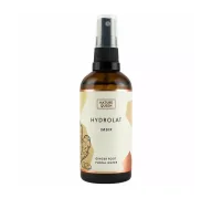Toniki i hydrolaty do twarzy - Nature Queen Nature Queen Hydrolat Imbir 100Ml - miniaturka - grafika 1