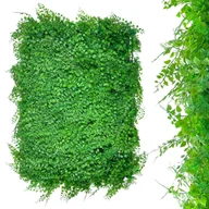 Sztuczne kwiaty - ZIELONA ŚCIANA - PANEL ROŚLINNY ŻYWOTNIK I FILODENDRON JEDNOBARWNY OGRODY WERTYKALNE ZIELONE ŚCIANY - miniaturka - grafika 1