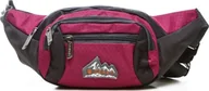 Nerki - Bag Street Różowa nerka damska sportowa S50 - miniaturka - grafika 1