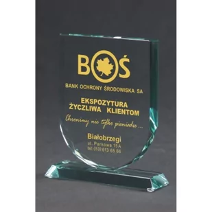 Trofeum szklane grawerowane z etui +wypełnianie farbą - Gadżety dla kibiców - miniaturka - grafika 1