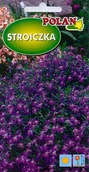 Nasiona i cebule - Lobelia - Stroiczka Cristal Palace 0.3 g POLAN - miniaturka - grafika 1