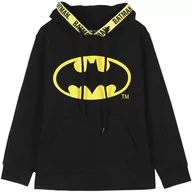 Figurki dla dzieci - SUDADERA CON CAPUCHA COTTON BRUSHED BATMAN BLACK - miniaturka - grafika 1