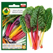 Nasiona i cebule - BURAK LIŚCIOWY BRIGHT LIGHTS DEKORACJA NASIONA BEZ GMO - miniaturka - grafika 1