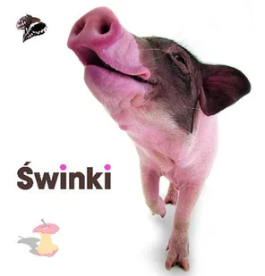 Świnki - Książki o kulturze i sztuce - miniaturka - grafika 1