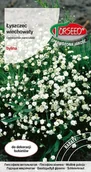 Nasiona i cebule - Nasiona Łyszczec wiechowaty biały 0,5g - Torseed - miniaturka - grafika 1