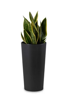 HowHomely Donica Urbanika ECO czarny h46 cm - Donice - miniaturka - grafika 1