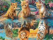 Malowanie po numerach - Haft Diamentowy Diamond Painting Mozaika Zestaw - miniaturka - grafika 1