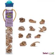 Figurki dla dzieci - Safari Ltd 687404 Czaszki Dinozaurów W Tubie - miniaturka - grafika 1