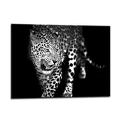Obrazy i zdjęcia - Obraz Glasspik Lampart 70 x 100 cm - miniaturka - grafika 1