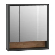 Szafki łazienkowe - Szafka łazienkowa z lustrem Meblomaster, 65,8 x 16 x 72 cm, antracytowa - miniaturka - grafika 1