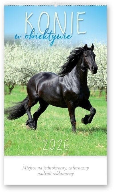 Kalendarz 2026 reklamowy Konie w obiektywie