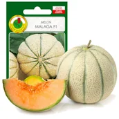 Nasiona i cebule - Melon Malaga F1 Wczesny Smaczny Nasiona Bez Gmo 1G - miniaturka - grafika 1
