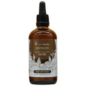 Suplementy naturalne - Lymeherbs, Cryptolepis nalewka 1:5, 100ml - miniaturka - grafika 1