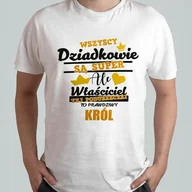 Koszulki męskie - Koszulka Męska Śmieszna T-shirt Z Nadrukiem Dzień Dziadka Dla Dziadka L #29 - miniaturka - grafika 1