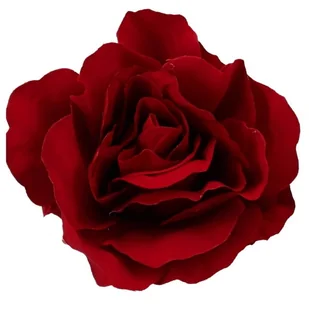 [68kr1844f] Główka kwiatowa róża bordowa 11cm - Zabawki kreatywne - miniaturka - grafika 1