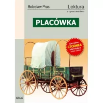 Placówka - Lektury szkoła podstawowa - miniaturka - grafika 1