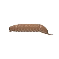 Przynęty - Przynęta LIBRA LURES Goliath 3 cm Pellets - miniaturka - grafika 1