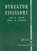 Finanse, księgowość, bankowość - Dyrektor Finansowy - miniaturka - grafika 1