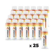 Stawy, mięśnie, kości - OstroVit, Fat Burner Shot bez kofeiny, 25 x 100 ml - miniaturka - grafika 1