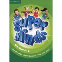 Cambridge University Press Super Minds Wordcards 2 - Cambridge University Press