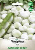 Nasiona i cebule - Bób Windsor Bialy 40g nasiona - WegAna - miniaturka - grafika 1