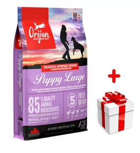 ORIJEN Puppy Large 6kg - Sucha karma dla psów - miniaturka - grafika 1