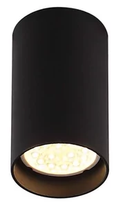 Maxlight Oprawa sufitowa PET C0142 - Oprawy, klosze i abażury - miniaturka - grafika 2