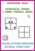 Filologia i językoznawstwo - Analiza i synteza wzrokowa, materiał atematyczny - Zeszyt ćwiczeń 5 - miniaturka - grafika 1