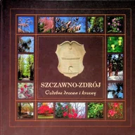 Albumy krajoznawcze - Szczawno-Zdrój Ozdobne drzewa i krzewy - miniaturka - grafika 1