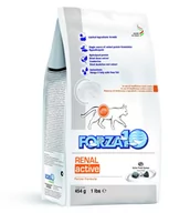 Sucha karma dla kotów - Forza10 Karma dla kota FORZA10 Renal Active, 454 g - miniaturka - grafika 1