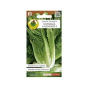 Nasiona i cebule - Sałata rzymska nasiona Pnos - miniaturka - grafika 1