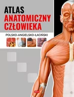 Książki medyczne - Atlas anatomiczny człowieka | - miniaturka - grafika 1