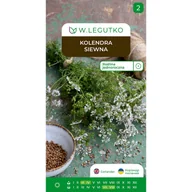 Nasiona i cebule - Kolendra siewna Coriandrum sativum nasiona ziół W.Legutko - miniaturka - grafika 1