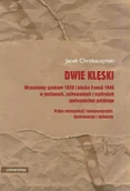Archeologia - Dwie klęski. Wrześniowy syndrom 1939 i klęska Francji 1940 w postawach, zachowaniach - miniaturka - grafika 1