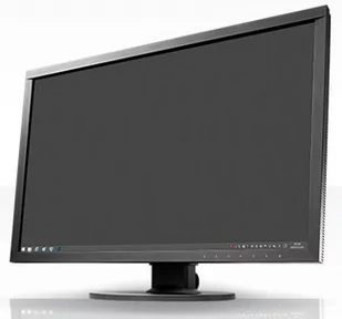 Eizo ColorEdge CS2420-BK 24" czarny - Monitory - miniaturka - grafika 1