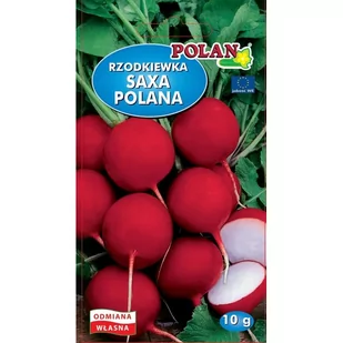 RZODKIEWKA SAXA POLANA 10G - Nasiona i cebule - miniaturka - grafika 1