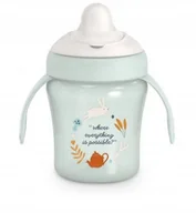 Kubki dla dzieci - SUAVINEX - 402789-KUBEK DO NAUKI PICIA 200ML/NIEKAPEK/6M+/MIĘTOWY/WONDERLAND - miniaturka - grafika 1