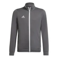 Bluzy dla chłopców - Dziecięca Bluza ADIDAS ENT22 TK JKTY H57521 – Szary - miniaturka - grafika 1