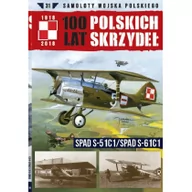 Literatura obyczajowa - 100 lat polskich skrzydeł Tom 31 - miniaturka - grafika 1