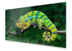 Panel kuchenny HOMEPRINT Kameleon na zielonym tle 120x60 cm - Dekoracje domu - miniaturka - grafika 1