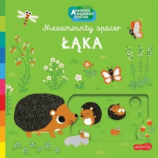 Harper Collins Książeczka Łąka Akademia Mądrego Dziecka Niesamowity spacer GXP-791067 - Książki edukacyjne - miniaturka - grafika 1